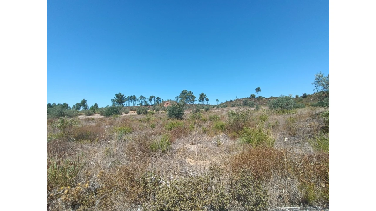 Terreno para Venda em Ortiga Foto 12