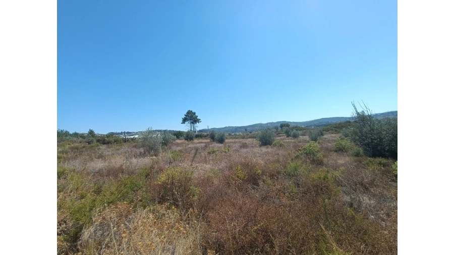 Terreno para Venda em Ortiga Foto 7