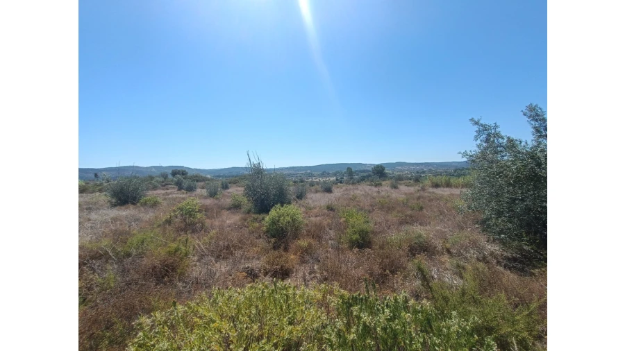 Terreno para Venda em Ortiga Foto 10