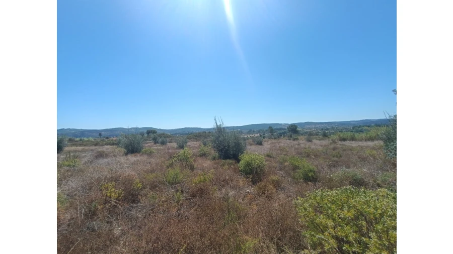 Terreno para Venda em Ortiga Foto 11