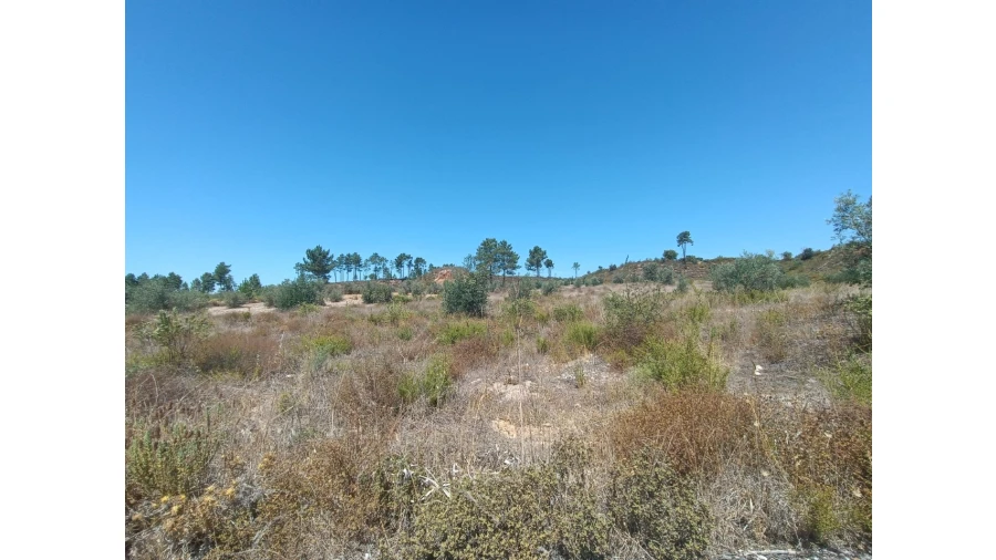 Terreno para Venda em Ortiga Foto 12