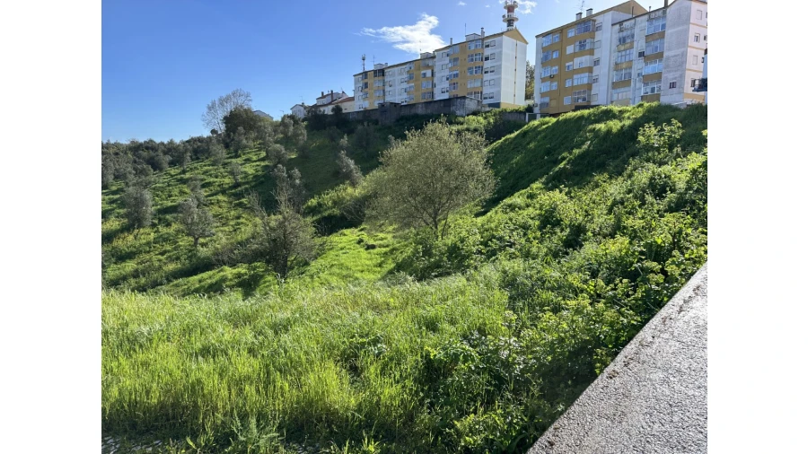Terreno para Venda em Abrantes (São Vicente e São João) e Alferrarede Foto 4