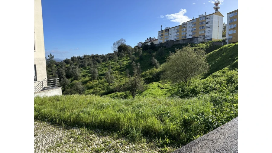 Terreno para Venda em Abrantes (São Vicente e São João) e Alferrarede Foto 5