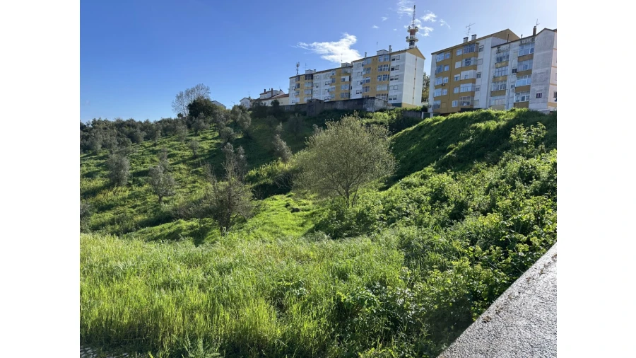 Terreno para Venda em Abrantes (São Vicente e São João) e Alferrarede Foto 6