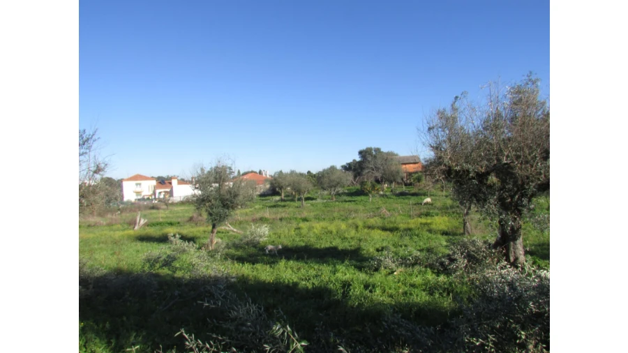 Terreno para Venda em Espírito Santo, Nossa Senhora da Graça e São Simão Foto 4