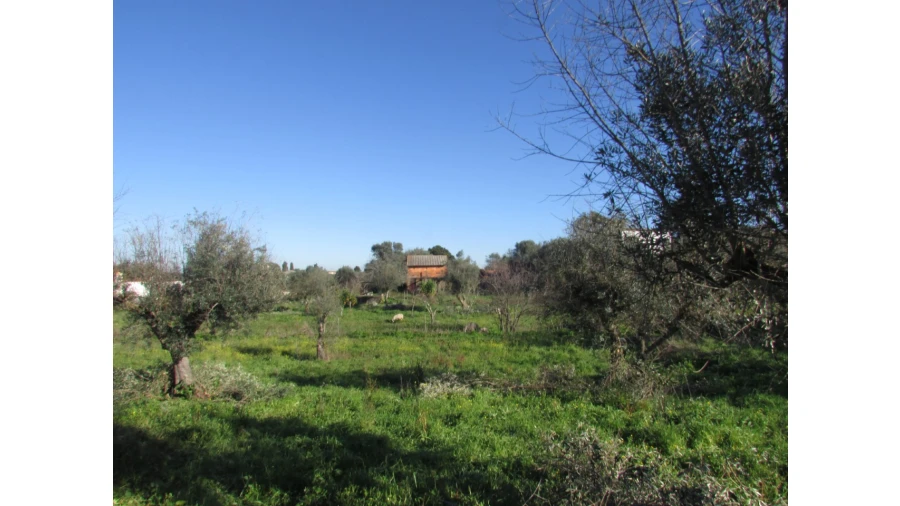 Terreno para Venda em Espírito Santo, Nossa Senhora da Graça e São Simão Foto 5
