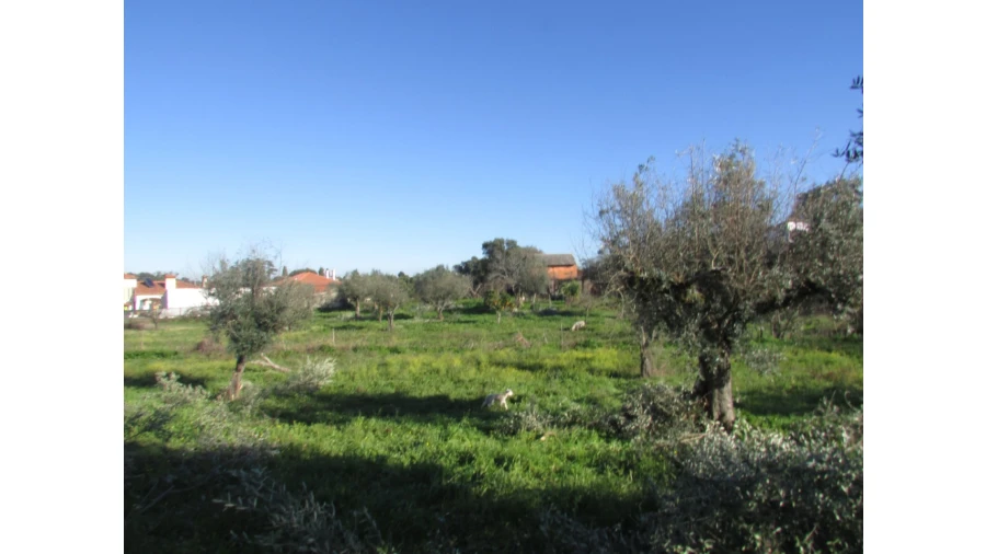 Terreno para Venda em Espírito Santo, Nossa Senhora da Graça e São Simão Foto 7