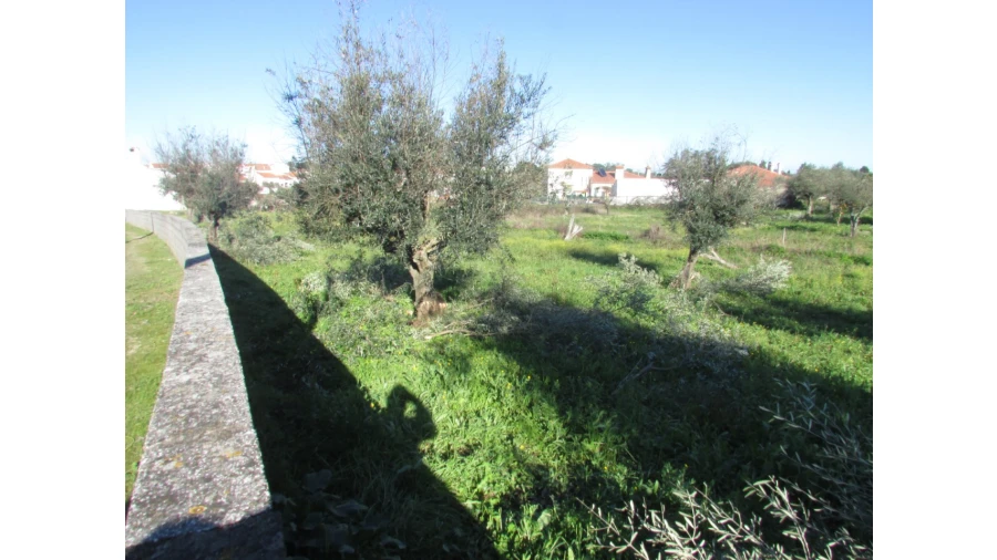 Terreno para Venda em Espírito Santo, Nossa Senhora da Graça e São Simão Foto 9