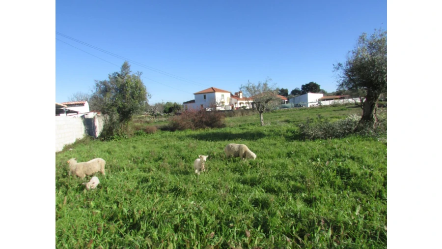 Terreno para Venda em Espírito Santo, Nossa Senhora da Graça e São Simão Foto 19