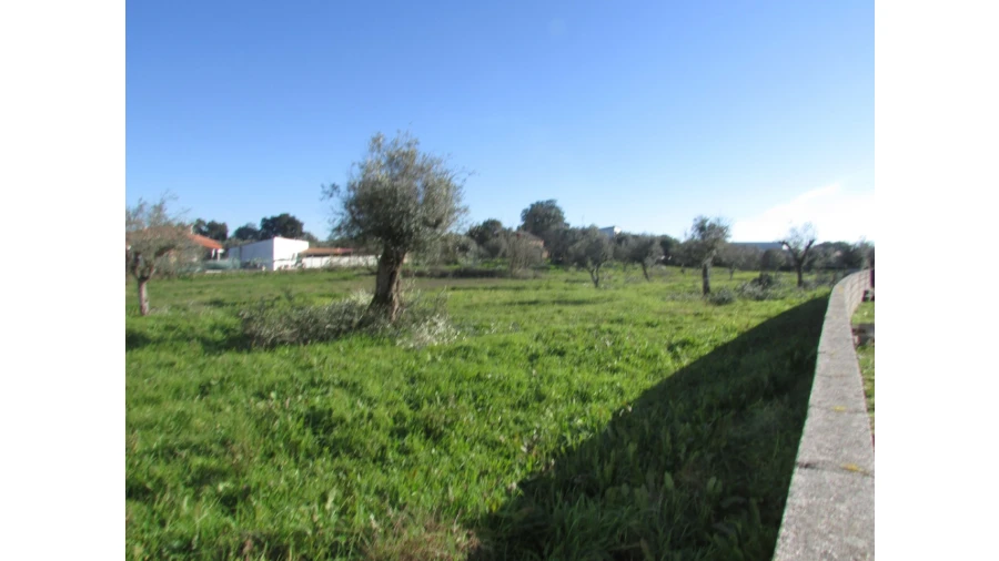 Terreno para Venda em Espírito Santo, Nossa Senhora da Graça e São Simão Foto 20