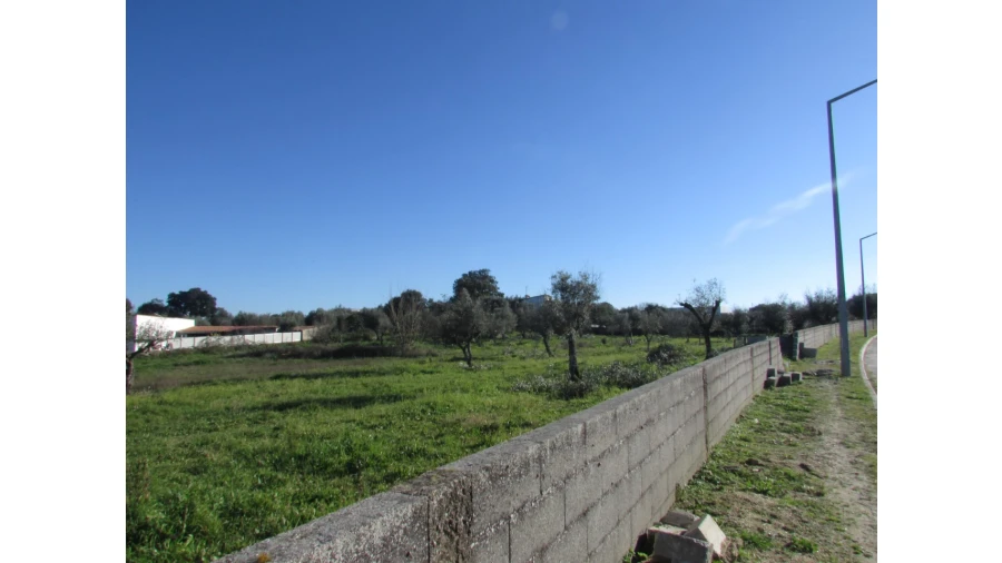 Terreno para Venda em Espírito Santo, Nossa Senhora da Graça e São Simão Foto 22