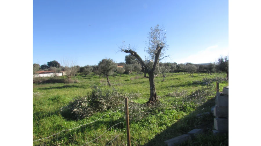 Terreno para Venda em Espírito Santo, Nossa Senhora da Graça e São Simão Foto 25
