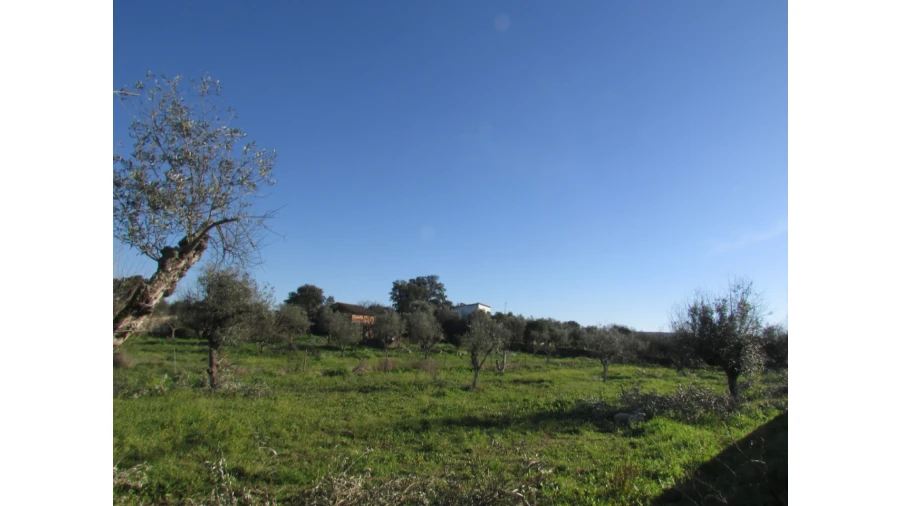 Terreno para Venda em Espírito Santo, Nossa Senhora da Graça e São Simão Foto 26