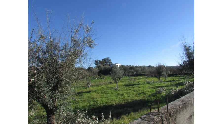 Terreno para Venda em Espírito Santo, Nossa Senhora da Graça e São Simão Foto 27