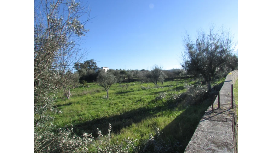 Terreno para Venda em Espírito Santo, Nossa Senhora da Graça e São Simão Foto 28