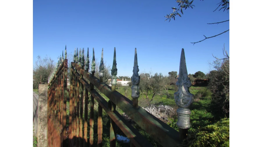 Terreno para Venda em Espírito Santo, Nossa Senhora da Graça e São Simão Foto 29