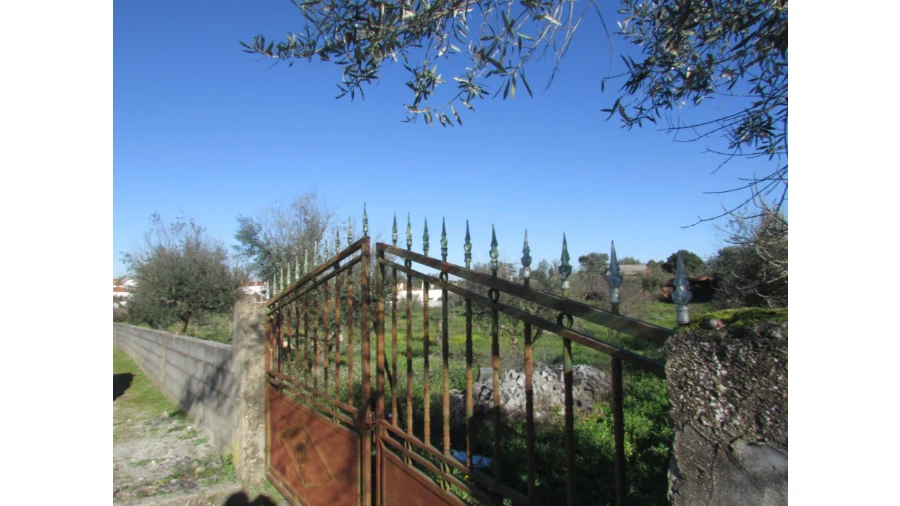 Terreno para Venda em Espírito Santo, Nossa Senhora da Graça e São Simão Foto 30