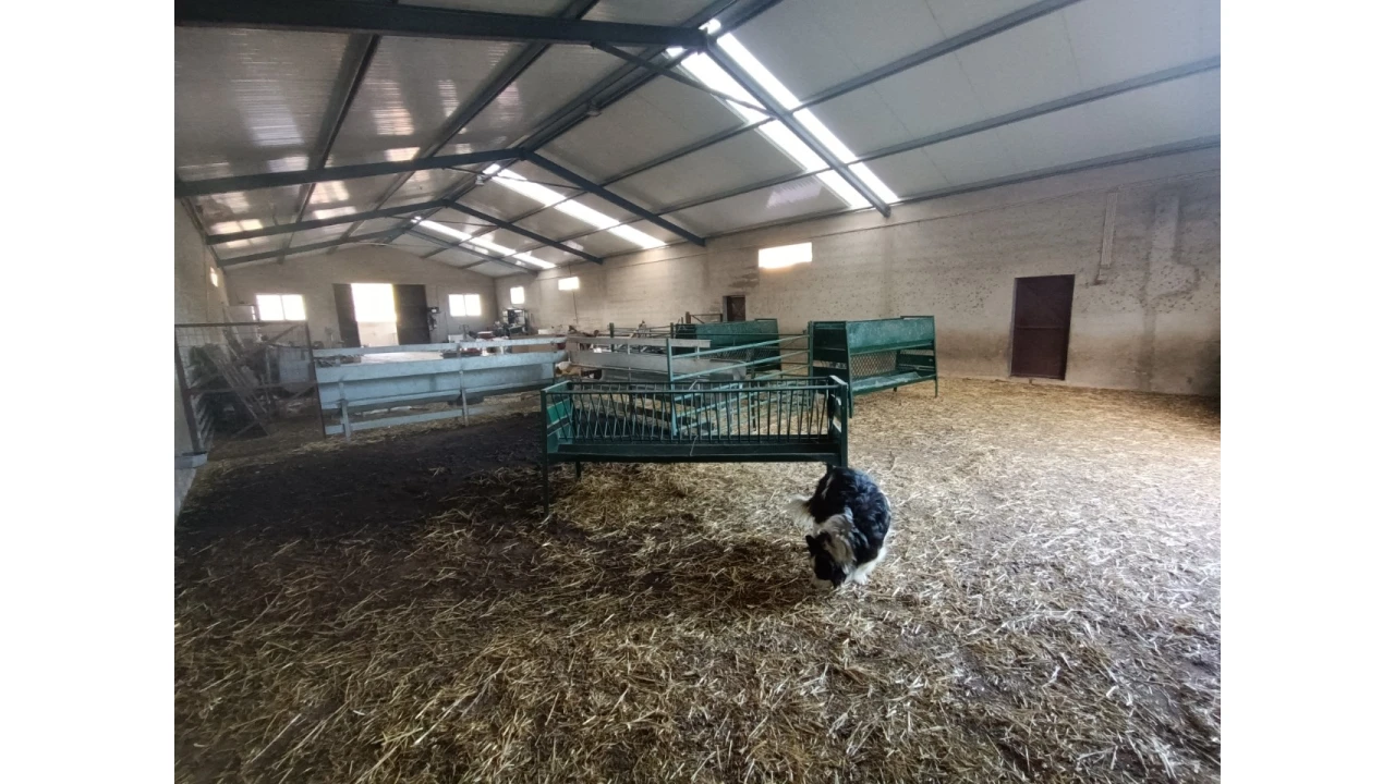 Armazém para Venda em Vila de Rei Foto 6