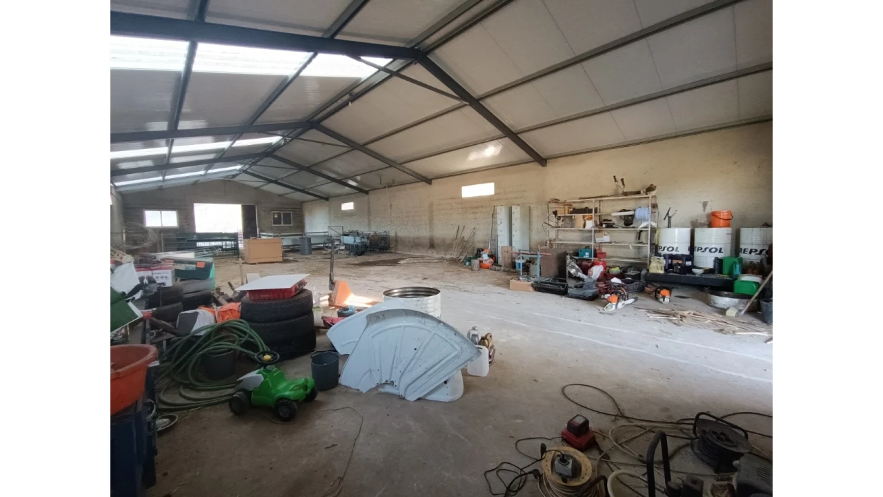 Armazém para Venda em Vila de Rei Foto 11