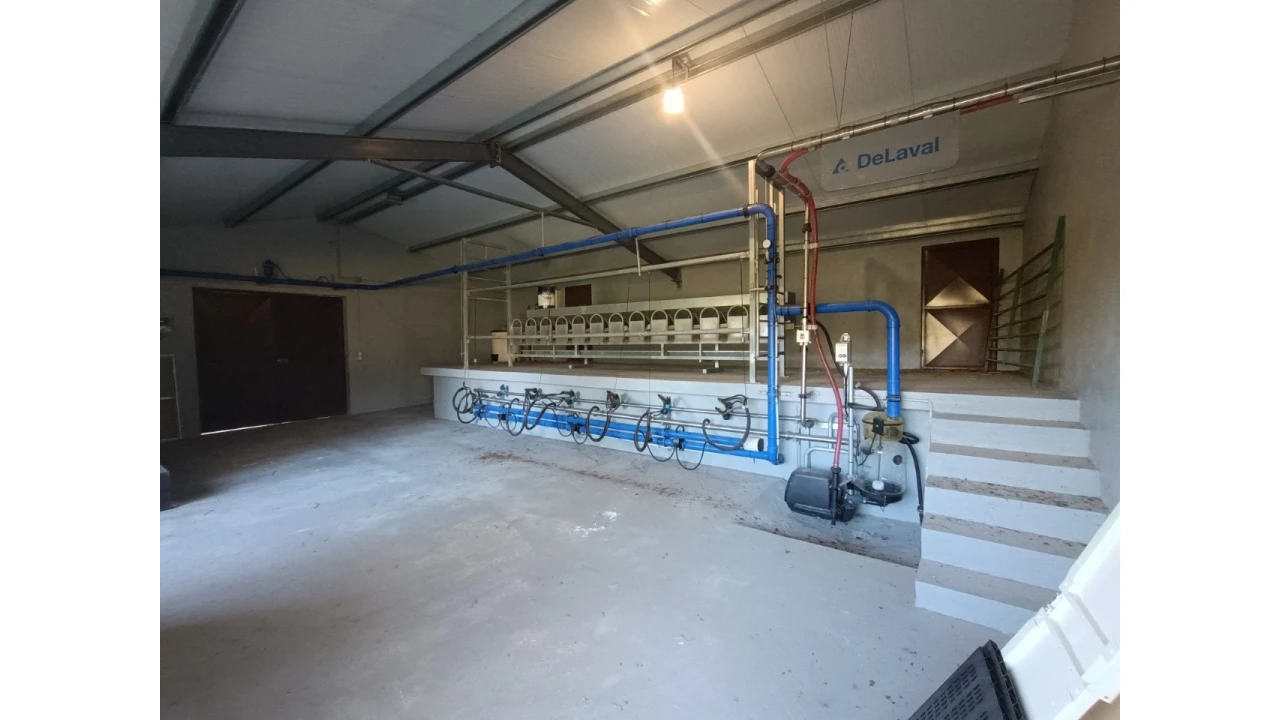 Armazém para Venda em Vila de Rei Foto 19