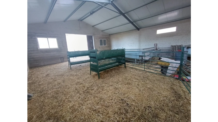 Armazém para Venda em Vila de Rei Foto 5