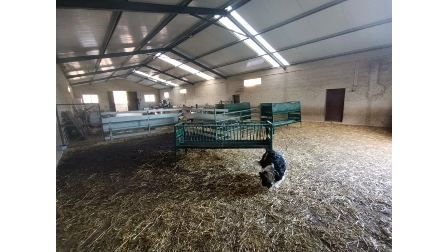 Armazém para Venda em Vila de Rei Foto 6