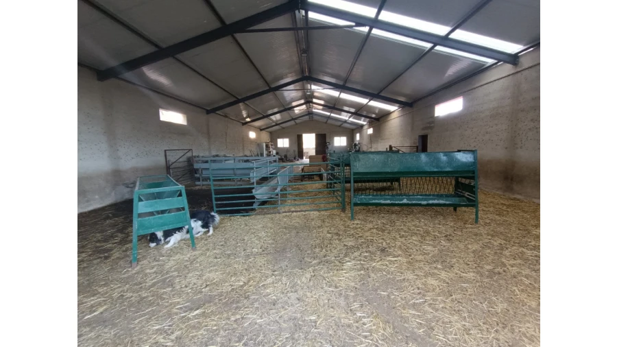 Armazém para Venda em Vila de Rei Foto 4