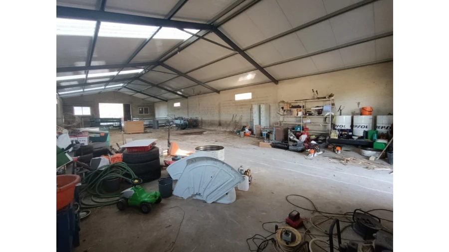 Armazém para Venda em Vila de Rei Foto 11