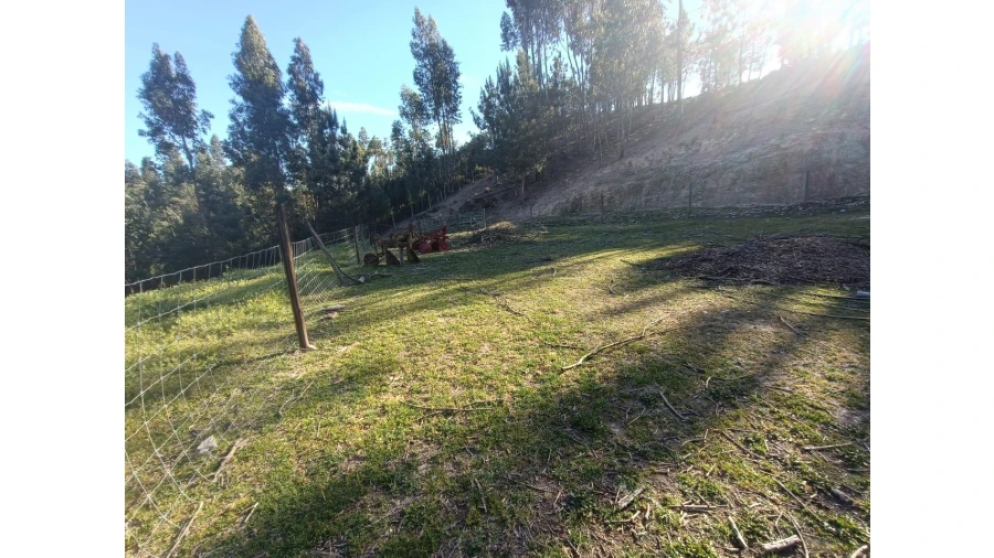 Armazém para Venda em Vila de Rei Foto 22