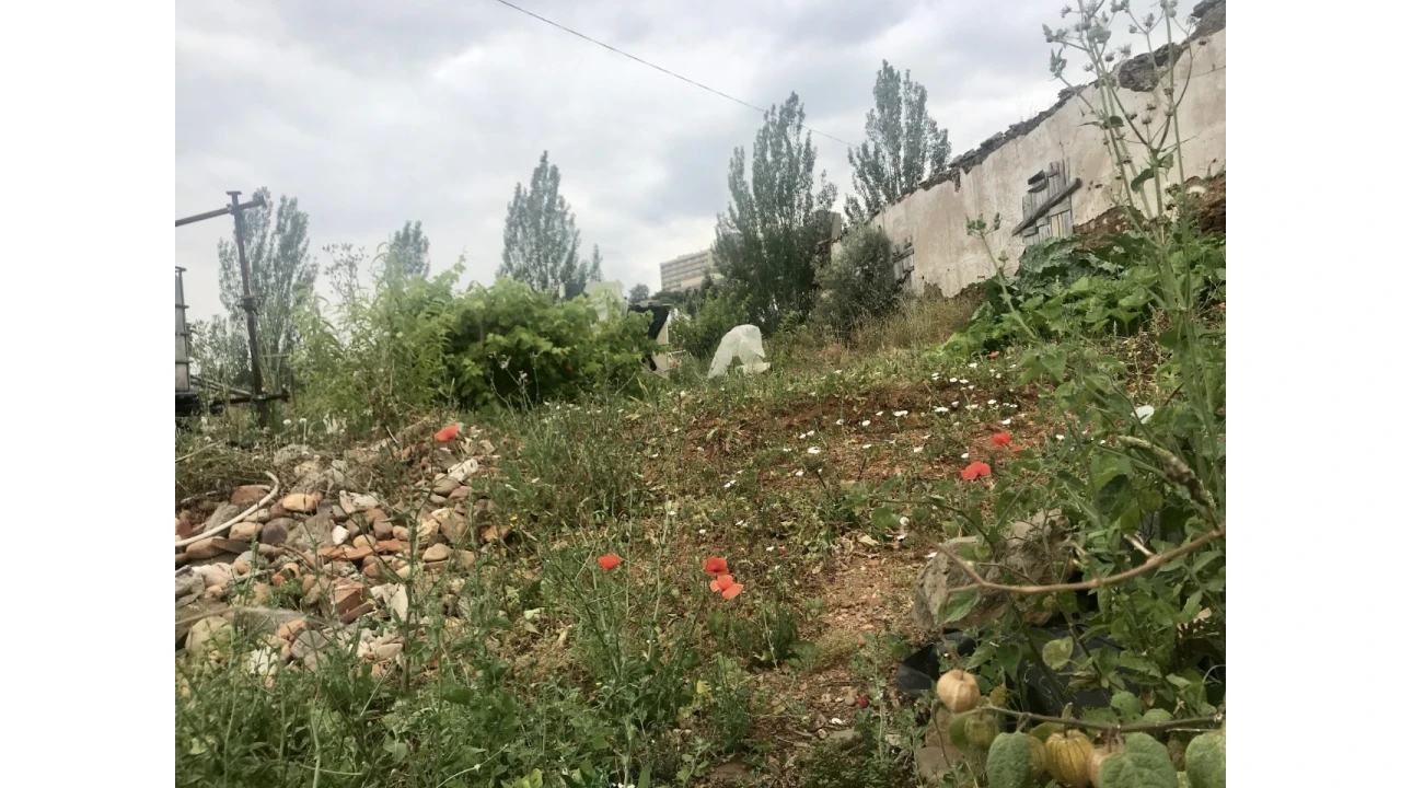 Terreno para Venda em Abrantes (São Vicente e São João) e Alferrarede Foto 8
