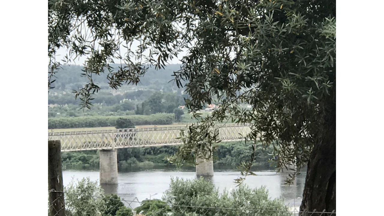 Terreno para Venda em Abrantes (São Vicente e São João) e Alferrarede Foto 1