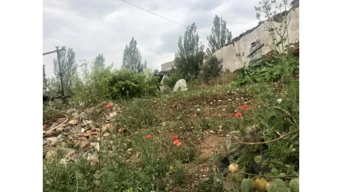Terreno para Venda em Abrantes (São Vicente e São João) e Alferrarede