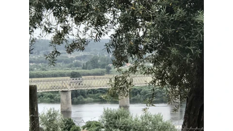 Terreno para Venda em Abrantes (São Vicente e São João) e Alferrarede