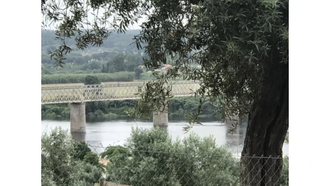 Terreno para Venda em Abrantes (São Vicente e São João) e Alferrarede