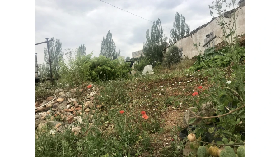 Terreno para Venda em Abrantes (São Vicente e São João) e Alferrarede Foto 8
