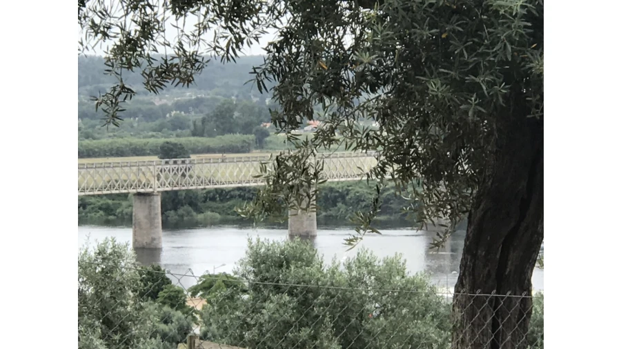 Terreno para Venda em Abrantes (São Vicente e São João) e Alferrarede Foto 11