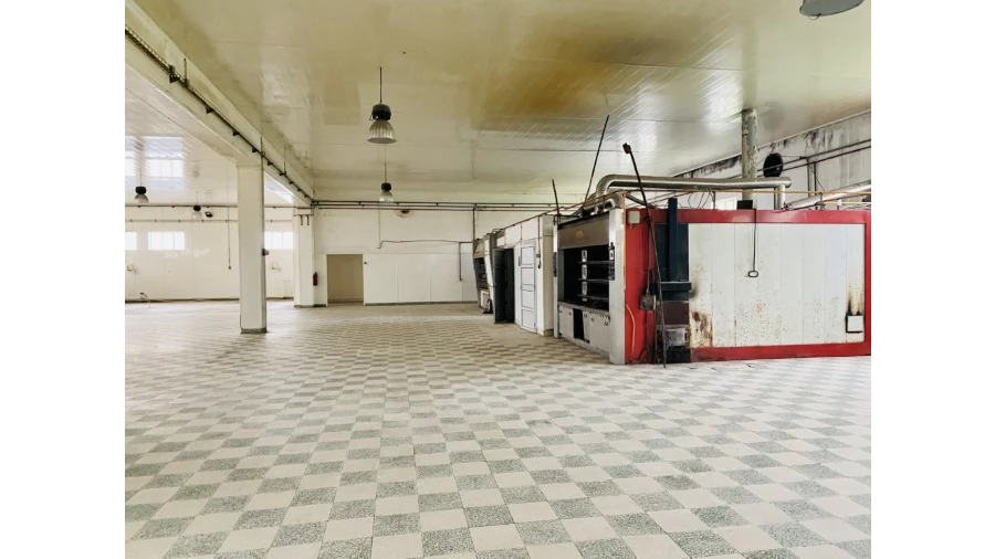 Armazém para Arrendamento em Tramagal Foto 12