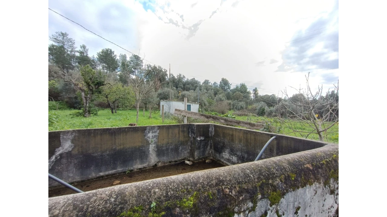 Terreno para Venda em Mouriscas Foto 2