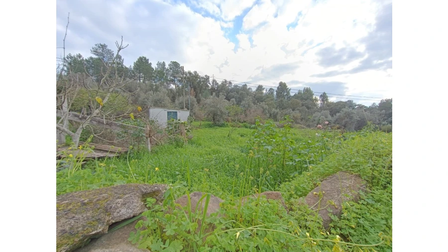 Terreno para Venda em Mouriscas