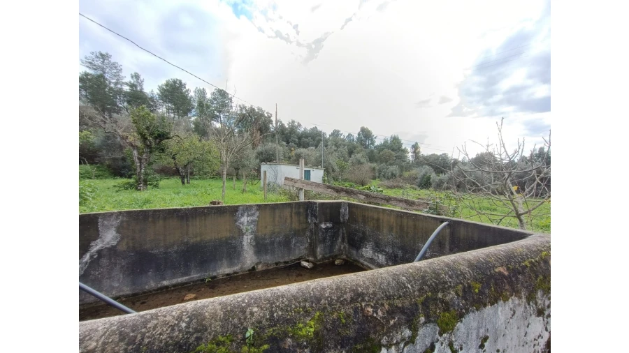 Terreno para Venda em Mouriscas Foto 2