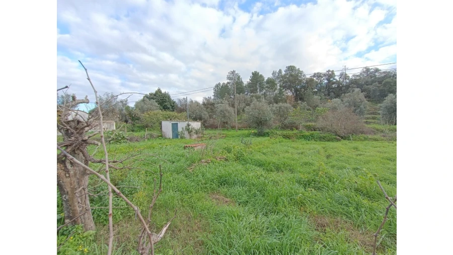 Terreno para Venda em Mouriscas Foto 3