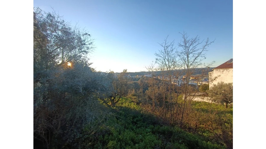 Terreno para Venda em Abrantes (São Vicente e São João) e Alferrarede Foto 3