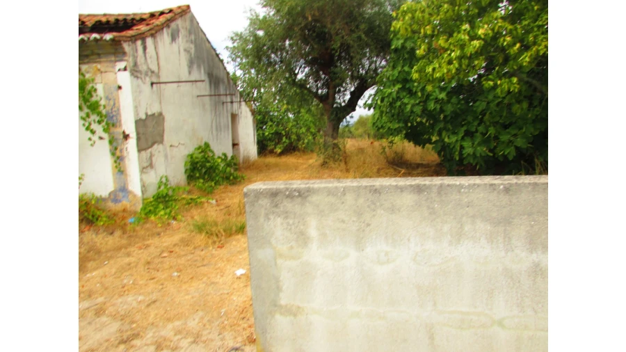 Moradia T3 para Venda em Pego Foto 7