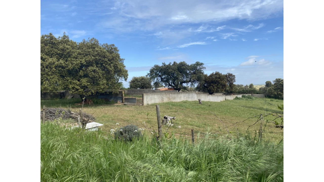Quinta T5 para Venda em São Bento do Cortiço e Santo Estêvão Foto 5