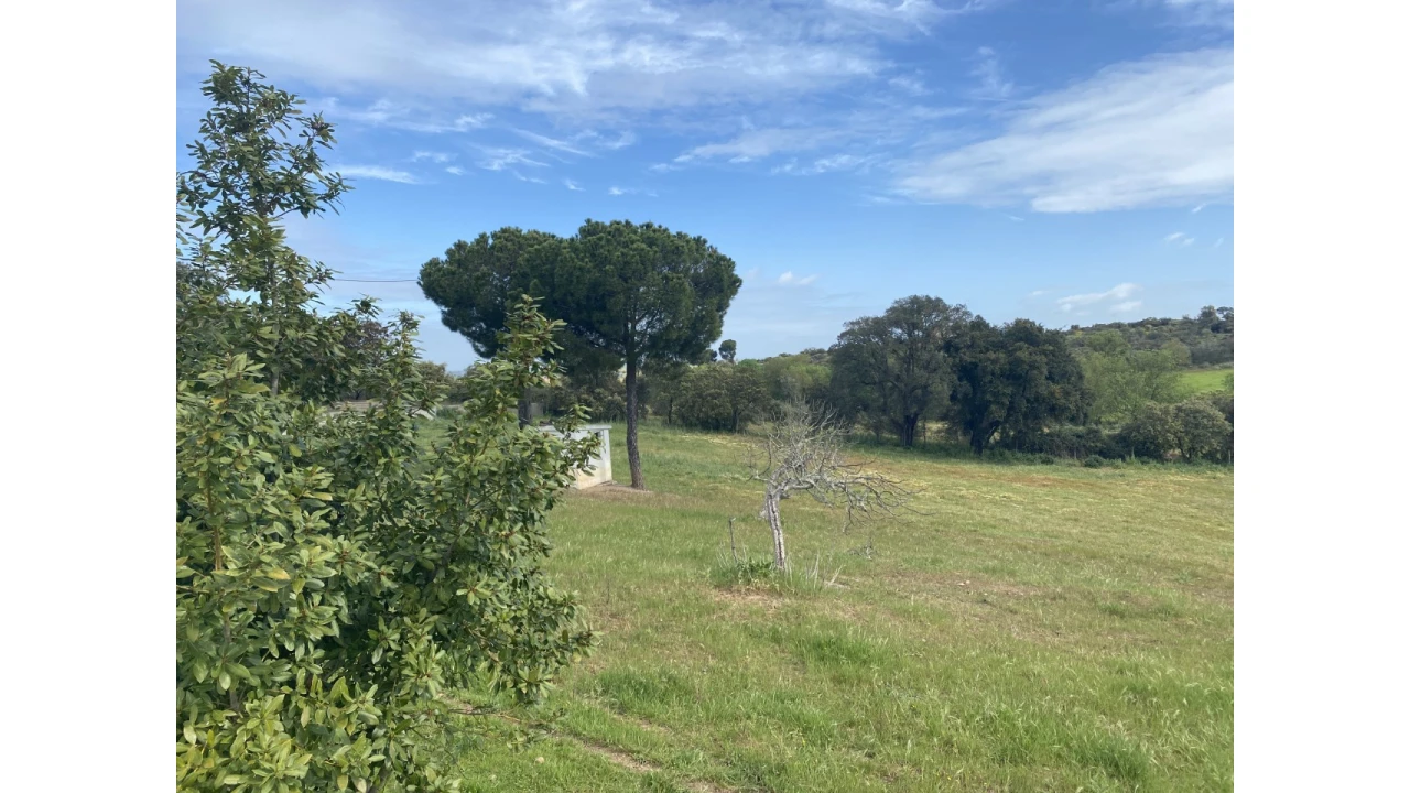 Quinta T5 para Venda em São Bento do Cortiço e Santo Estêvão Foto 8