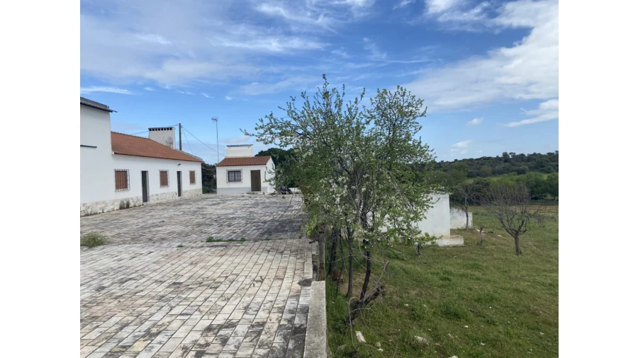 Quinta T5 para Venda em São Bento do Cortiço e Santo Estêvão Foto 2