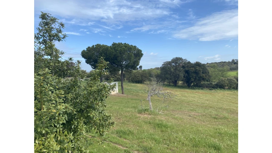 Quinta T5 para Venda em São Bento do Cortiço e Santo Estêvão Foto 8