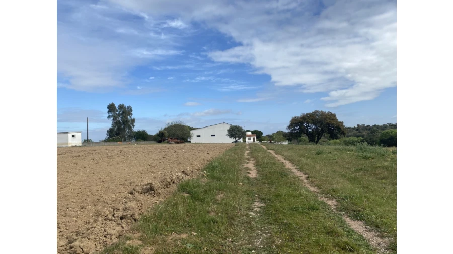 Quinta T5 para Venda em São Bento do Cortiço e Santo Estêvão Foto 13