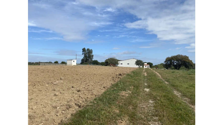 Quinta T5 para Venda em São Bento do Cortiço e Santo Estêvão Foto 15