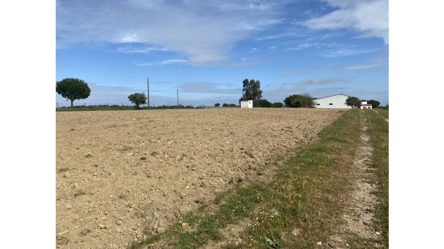 Quinta T5 para Venda em São Bento do Cortiço e Santo Estêvão Foto 16